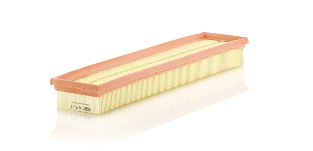 MANN-FILTER C 4371/1 - Воздушный фильтр