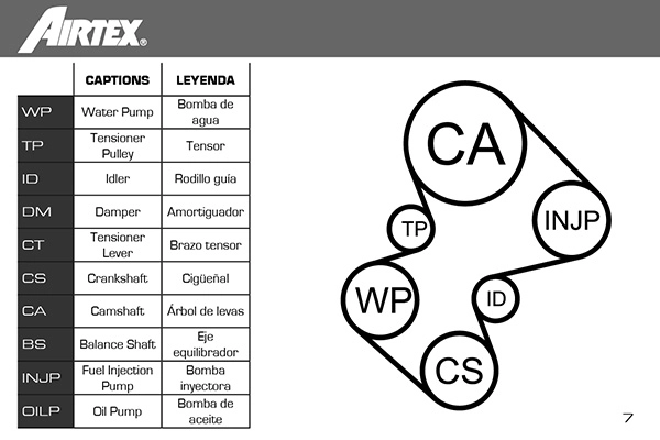 AIRTEX WPK-157901 - Комплект ремня ГРМ