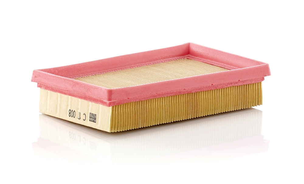 MANN-FILTER C 17 008 - Воздушный фильтр