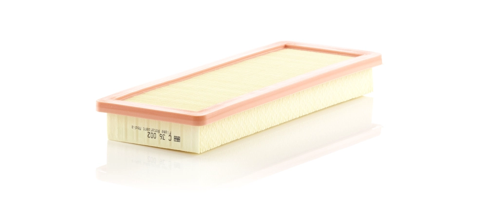 MANN-FILTER C 36 002 - Воздушный фильтр