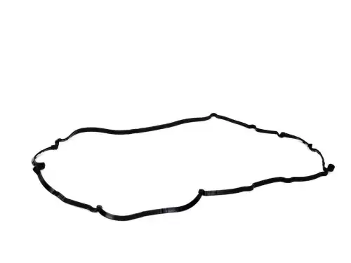 FORD 1704081 - прокладка клапанной крышки