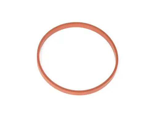 FORD 1738590 - прокладка впускного коллектора