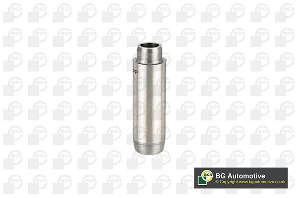 BGA VG2196 - Направляющая клапана