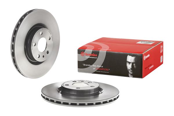 BREMBO 09.4939.41 - Тормозной диск PRIME LINE - UV Coated