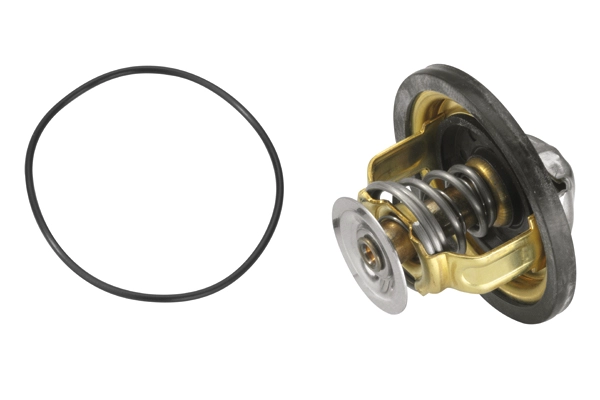 WAHLER 4174.79D - Термостат