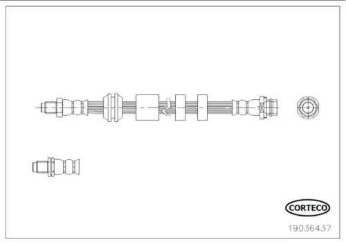 CORTECO 19036437 - Шланг тормозной