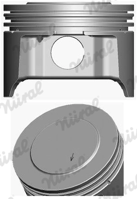 Поршень Elastoval ®