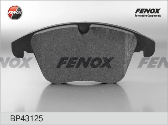 FENOX BP43125 - Тормозные колодки 