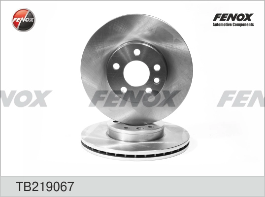 FENOX TB219067 - Тормозные диски