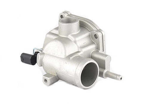 BSG BSG 60-125-003 - Термостат