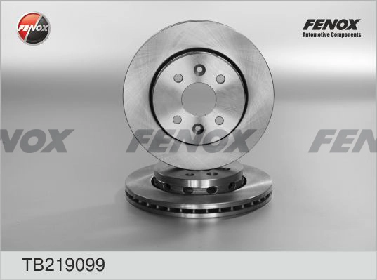 FENOX TB219099 - Тормозные диски