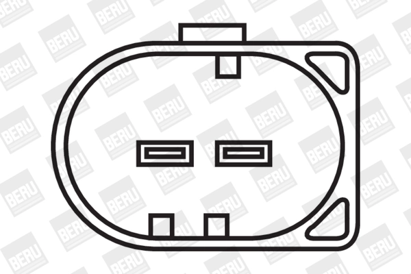 BERU ZS501 - Катушка зажигания
