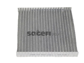 FRAM CFA9665 - Салонный фильтр