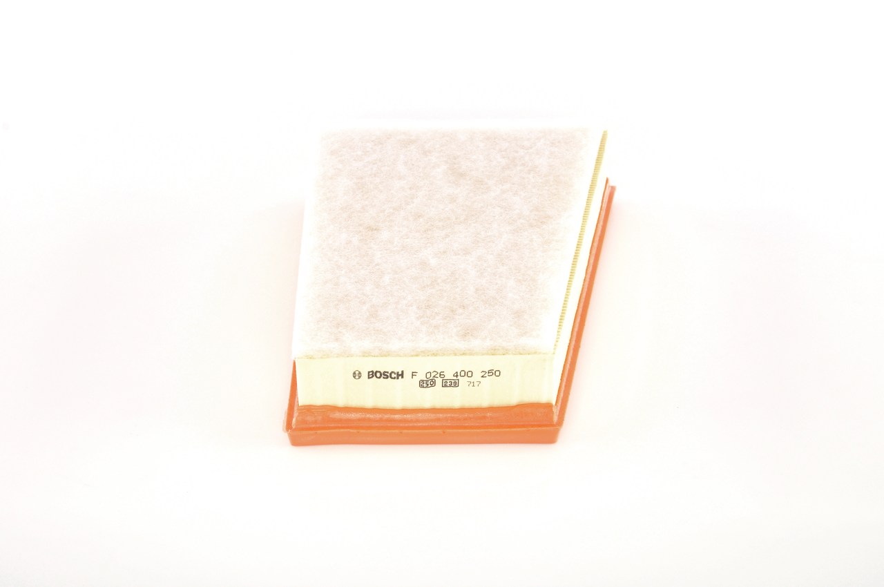 BOSCH F 026 400 250 - Воздушный фильтр