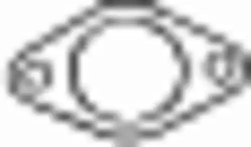 BOSAL 256598 - прокладка приемной трубы