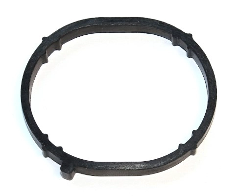 Прокладка впускного коллектора