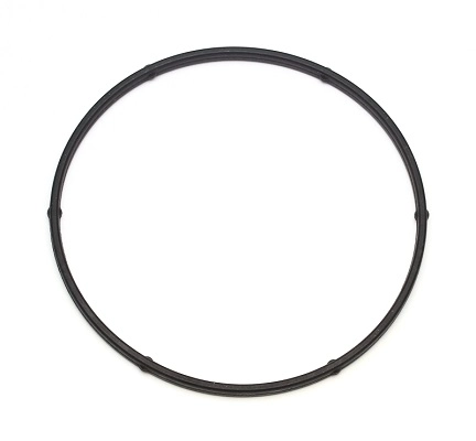 Уплотнительное кольцо