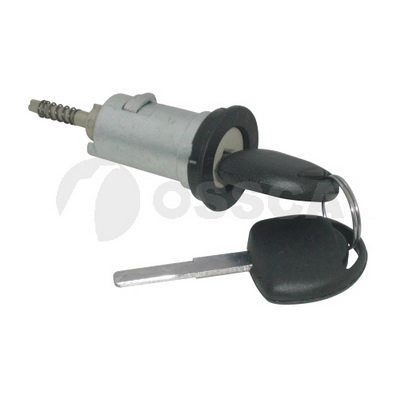 Личинка замка двери