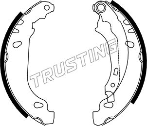 TRUSTING 079.191 - Барабанные колодки