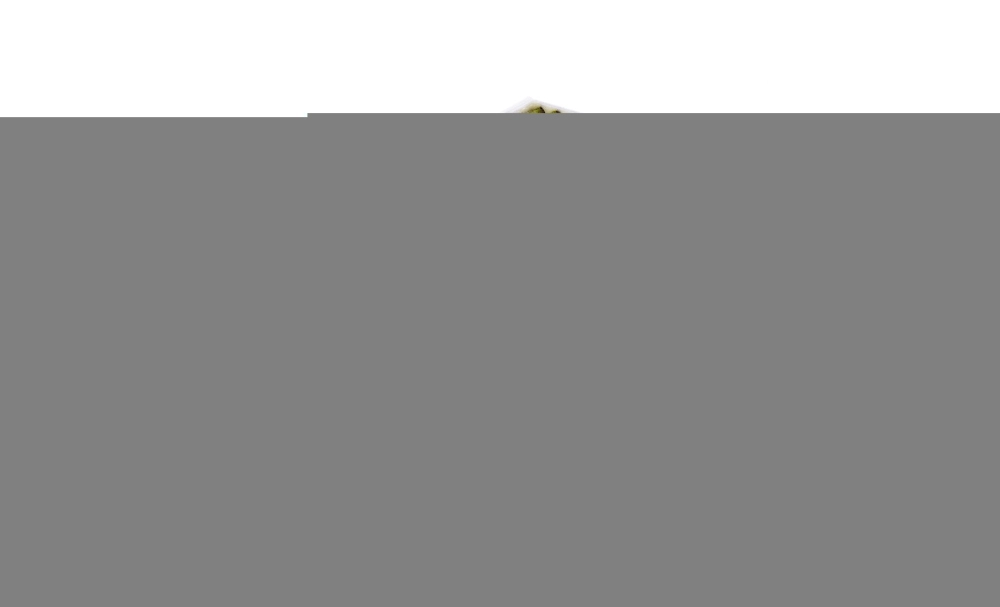 MANN-FILTER FP 26 005 - Фильтр, воздух во внутренном пространстве FreciousPlus