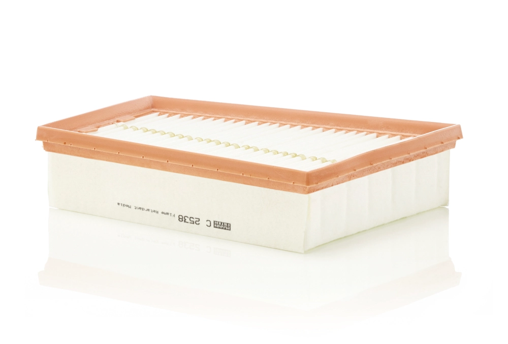 MANN-FILTER C 2538 - Воздушный фильтр