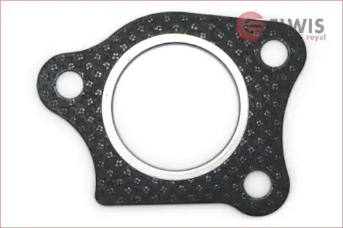 ELWIS ROYAL 3022006 - Прокладка ДВС