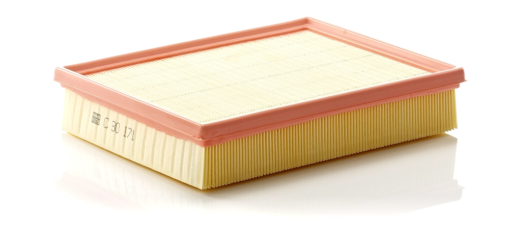 MANN-FILTER C 30 171 - Воздушный фильтр