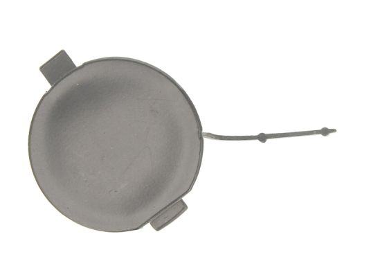 Заглушка крюка