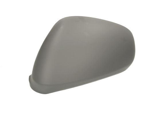 BLIC 6103-01-1311212P - Корпус наружного зеркала