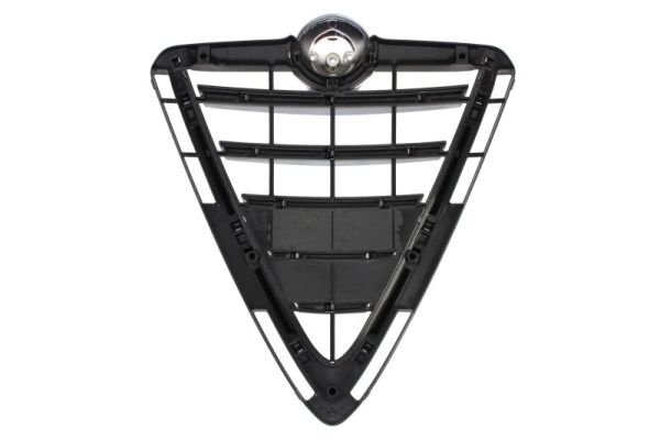 BLIC 6502-07-0105991P - Решетка радиатора