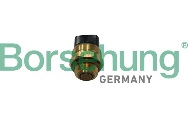 BORSEHUNG B13131 - Датчик включения вентилятора