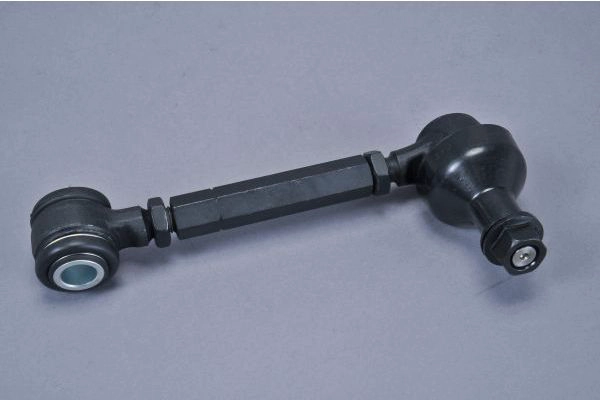 AUTOMEGA 110088810 - Рычаг