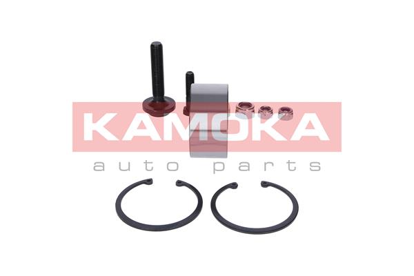 KAMOKA 5600002 - Комплект подшипника ступицы колеса KAMOKA