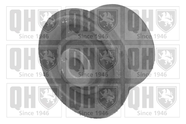 QUINTON HAZELL EMS8054 - Сайлентблок