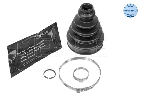 Пыльник шруса