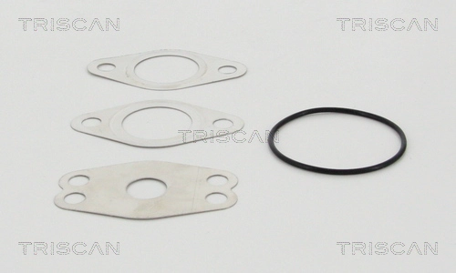 TRISCAN 8813 29111 - Клапан ЕГР