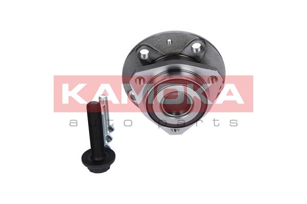 KAMOKA 5500066 - Комплект подшипника ступицы колеса KAMOKA