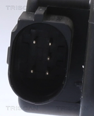 TRISCAN 8813 29003 - Клапан ЕГР