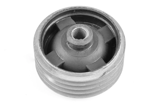 TED-GUM 00673071 - Подушка двигателя