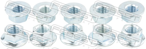 FEBEST 0231-002-PCS10 - Развальные шайбы