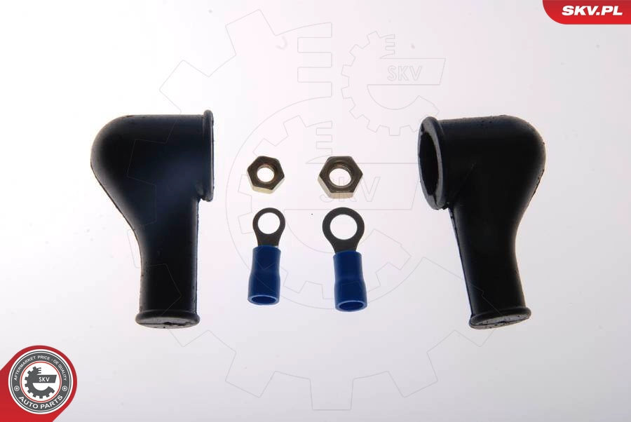 ESEN SKV 02SKV002 - Топливный насос