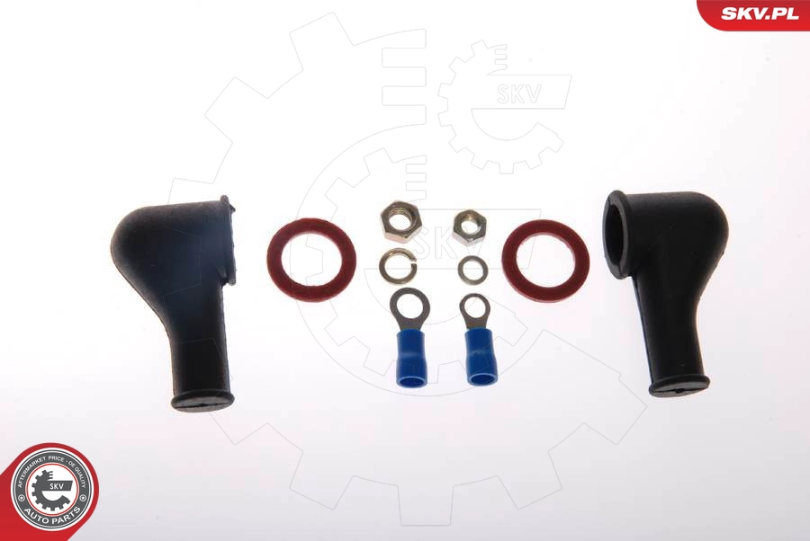 ESEN SKV 02SKV005 - Топливный насос