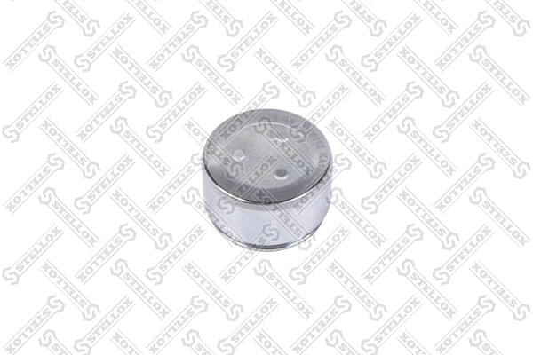 STELLOX 04-98318-SX - Поршень суппорта