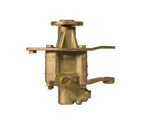 SERCORE 07B418V - Насос ГУР