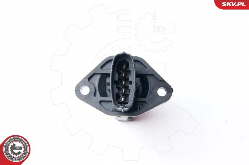 ESEN SKV 07SKV514 - Расходомер воздуха