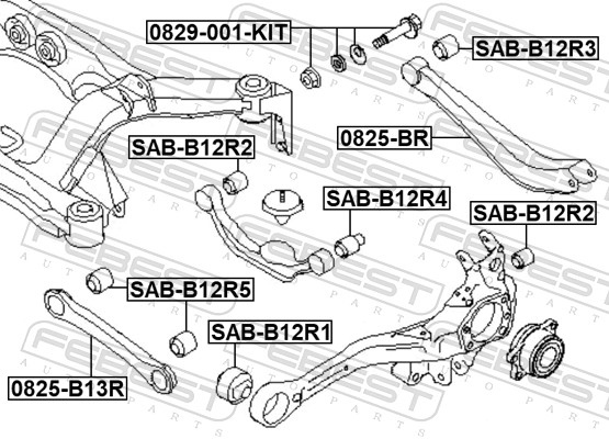 FEBEST 0829-001-KIT - Развальные болты