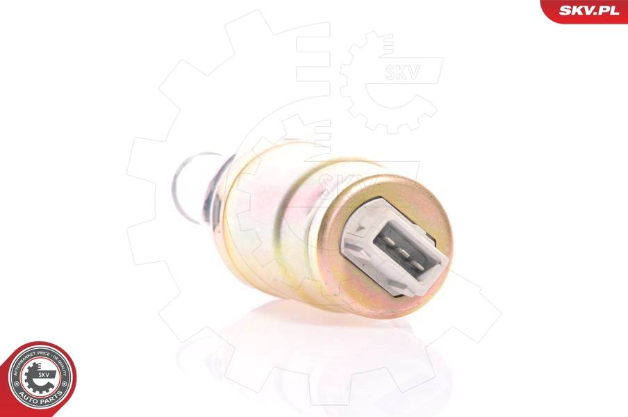 ESEN SKV 08SKV203 - Регулятор холостого хода