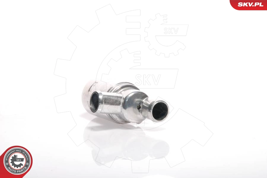 ESEN SKV 08SKV205 - Регулятор холостого хода