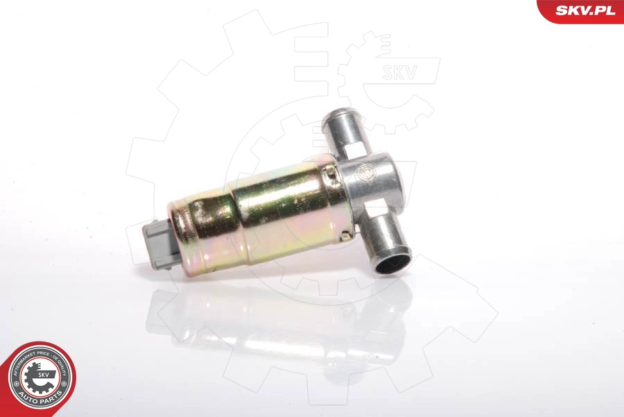 ESEN SKV 08SKV207 - Регулятор холостого хода