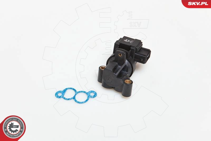 ESEN SKV 08SKV210 - Регулятор холостого хода